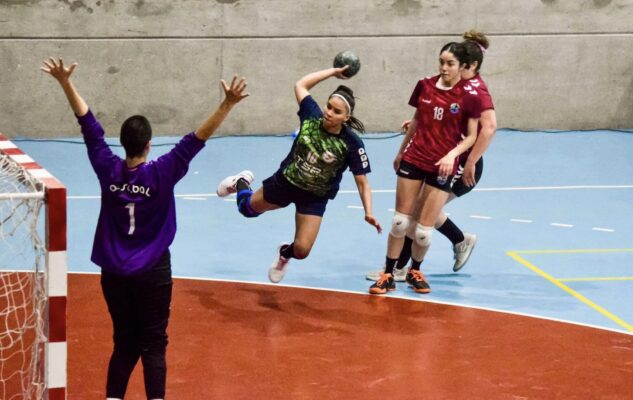 chubut, Handball, SELECCIONES, Torneo Argentino