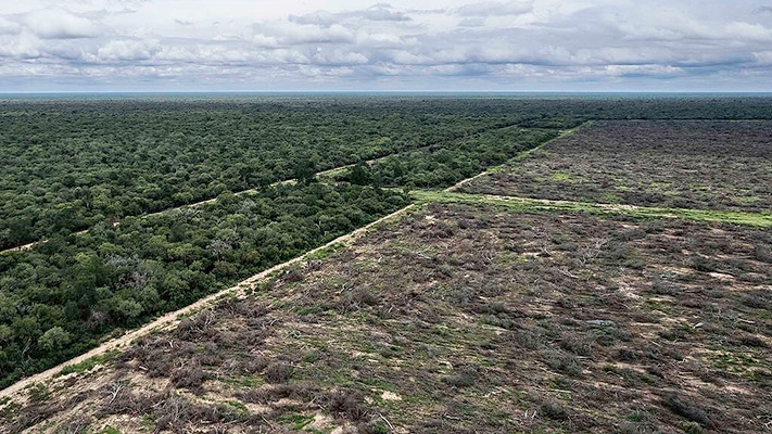 Greenpeace denunció que el desmonte aumentó un 21%