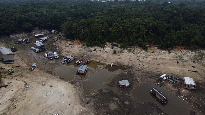 Por la sequía en la Amazonía brasilera mueren 150 delfines 