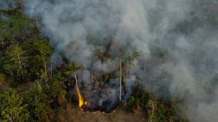 Nube tóxica por incendios en la Amazonía pone en peligro a su capital Manaos