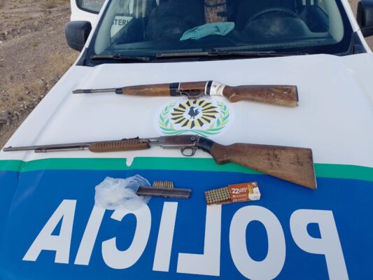 Armas, caza, control, Madryn