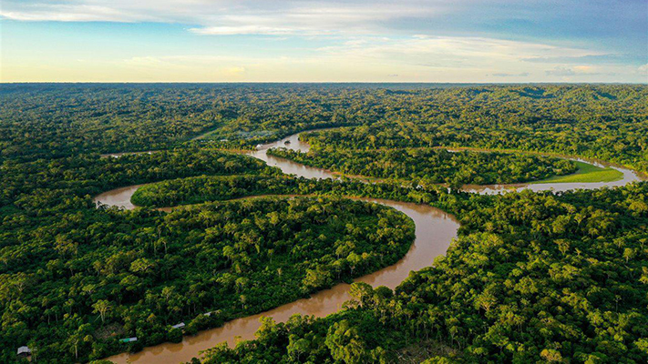 Brasil redujo el 59% la deforestación amazónica