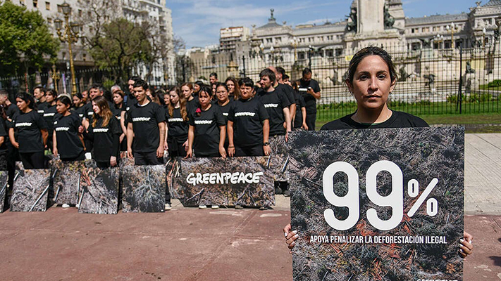 El 99% de los argentinos está a favor de penalizar la deforestación ilegal