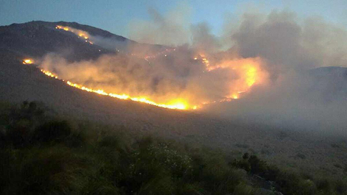 Córdoba: Lograron contener los incendios forestales