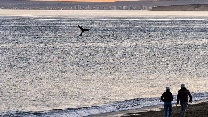 Bariloche, el calafate, Patagonia, previaje, puerto madryn, Trevelin, turismo, USHUAIA