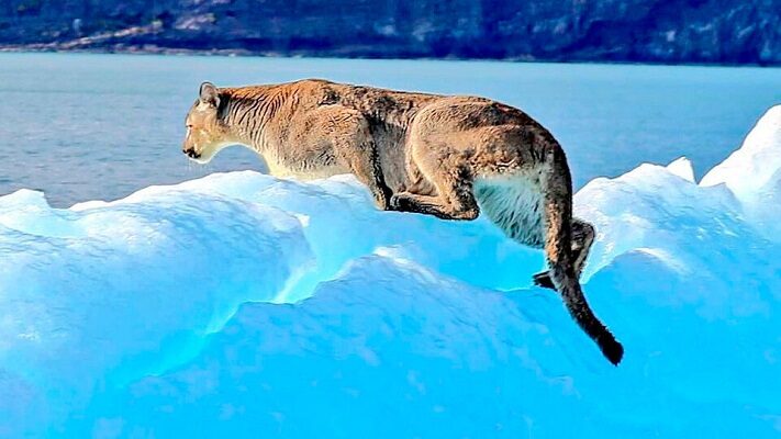 La Ley Ómnibus habilita la minería en la zona periglaciar del Perito Moreno