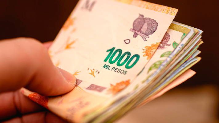 Economía concretó una nueva licitación de cinco bonos en pesos