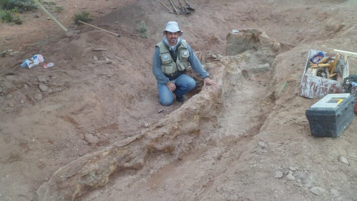 CONICET, dinosaurio, Neuquén, saurópodo, titanosaurio