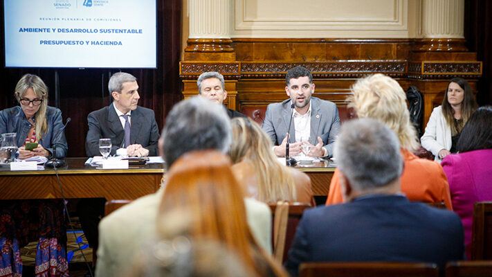agujero azul, Congreso, medioamebiente, noticias, proyecto de ley, Senado