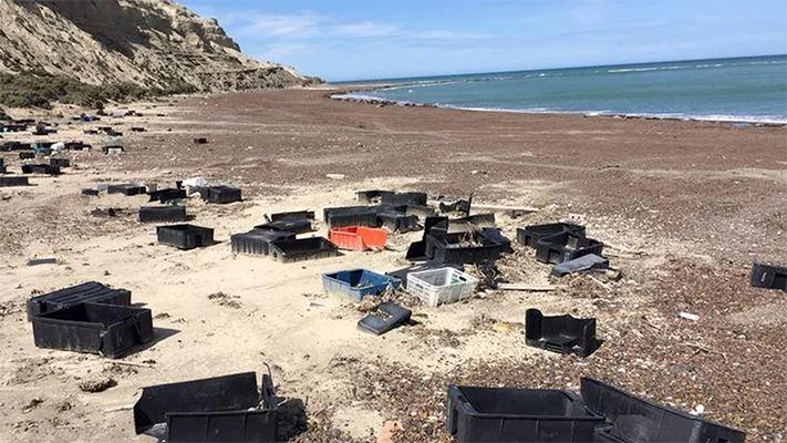 Lanzaron una plataforma para denunciar residuos costeros