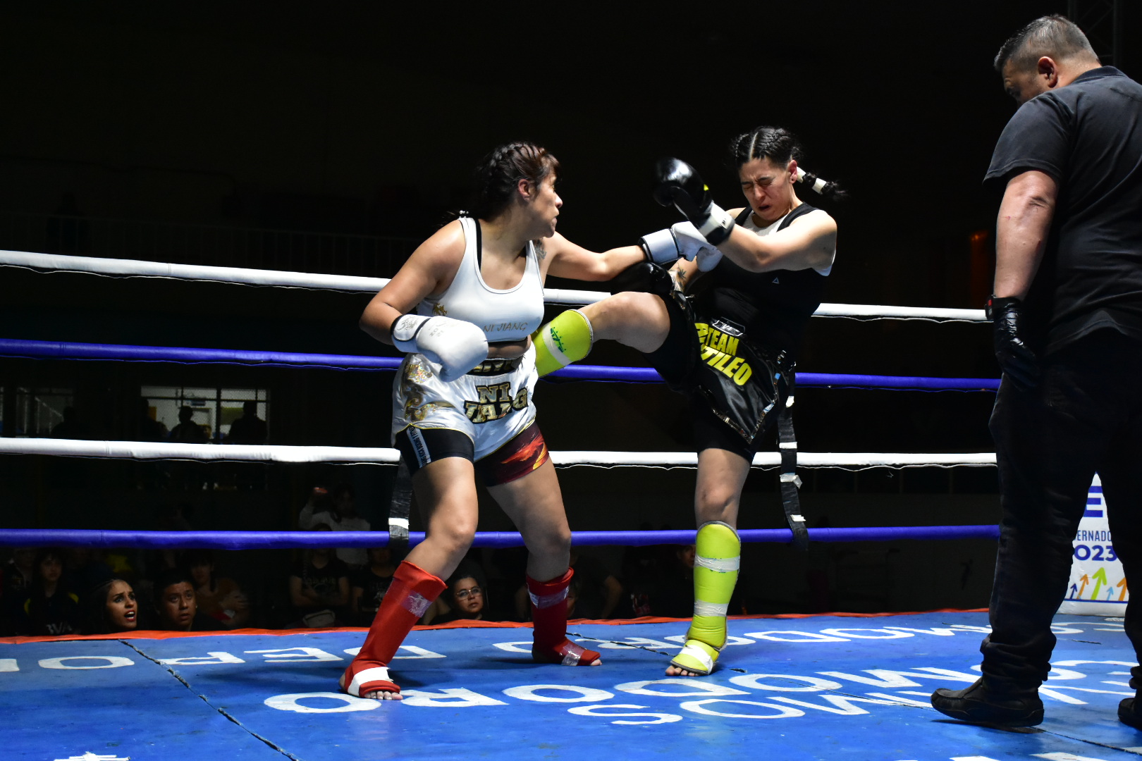 Comodoro Rivadavia se alista para el Festival de Kick Boxing Femenino
