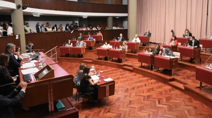 Arriba Chubut, chubut, diputados, FIT-U, JUNTOS, Menna, plich