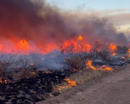 Etiquetas: bomberos, incendio, Protección Civil, Puerto Lobos