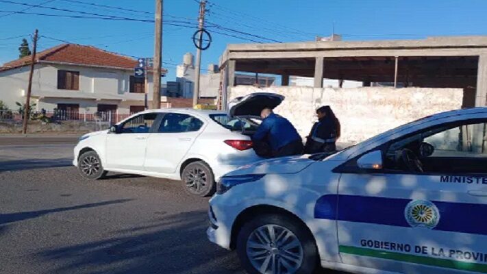 Carne, Madryn, policía, robo, Taxi