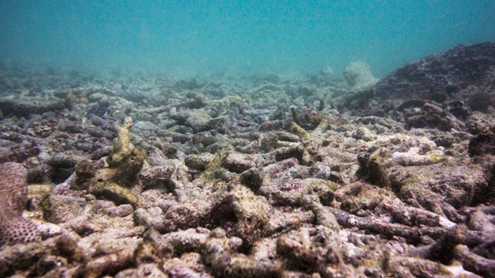 El cambio climático avanza hacia un punto de no retorno