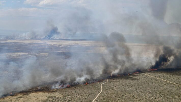 Etiquetas: imagenes, incendio, Puerto Lobos