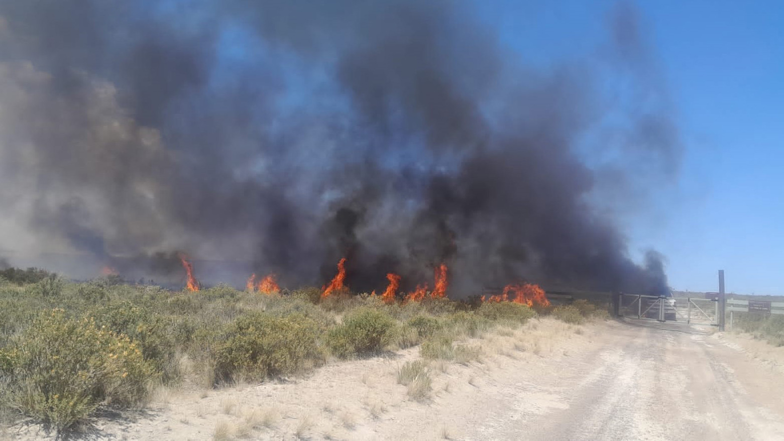 Incendio de campo en Península Valdés