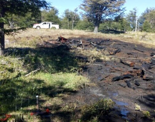 Etiquetas: chubut, incendio, Río Pico