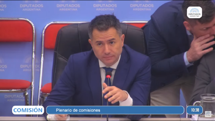 Cámara de Diputados, LEY DE BASES, ley ómnibus, PLENARIO DE COMISIONES