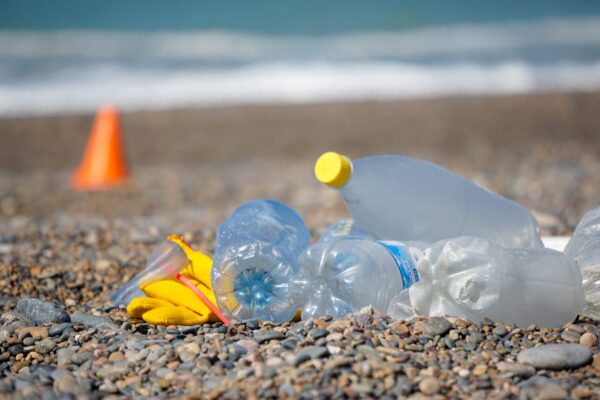 Ambiente, chubut, playas, Rawson
