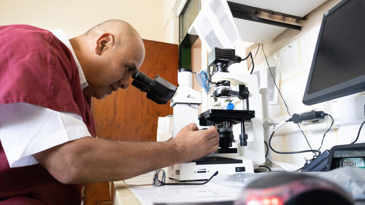 CIENCIA, noticias, obesidad