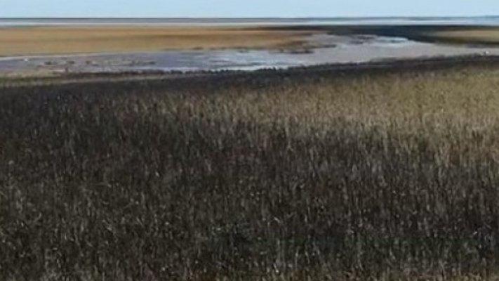 Interviene la Provincia en el derrame de petróleo en Bahía Blanca
