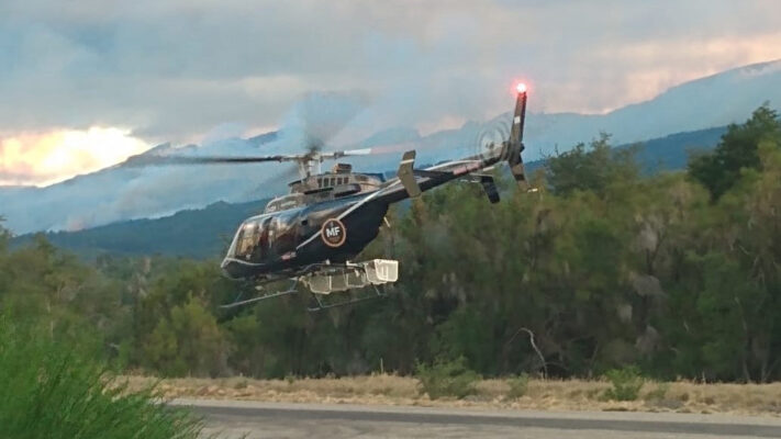 Bosque nativo, incendio forestal, Parque Nacional Los Alerces
