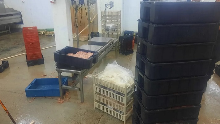 Incautan más de 200 kilos de langostinos transportados ilegalmente