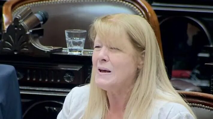 Etiquetas: argentina, G20, margarita stolbizer