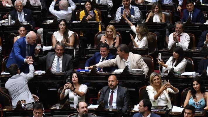 Cámara de Diputados, HACEMOS COALICIÓN FEDERAL, ley ómnibus, lla, pro, ucr