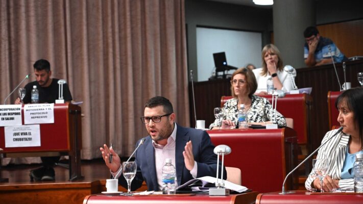 Arriba Chubut, asignaciones familiares, chubut, diputados