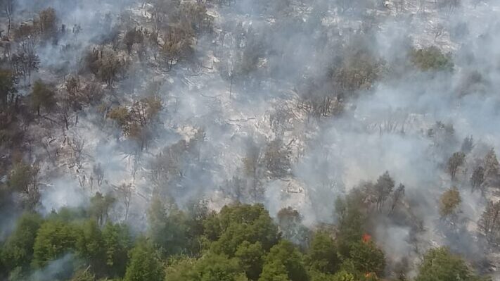 El fuego ya consumió 7.808 hectáreas