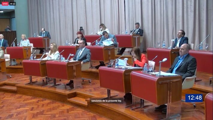chubut, comando unificado, Legislatura, TRELEW