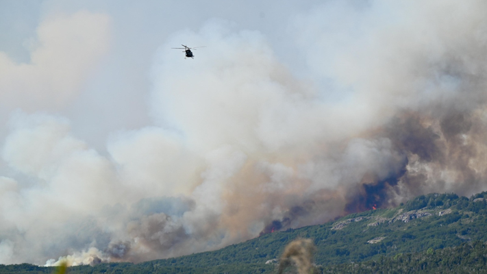 Medio millar de personas combaten el fuego en el Parque Nacional Los Alerces