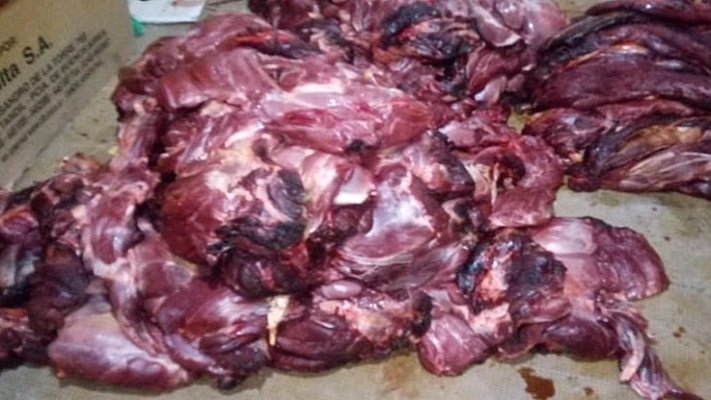 Secuestran 15 bolsas con carne de guanaco faenada y armas de fuego