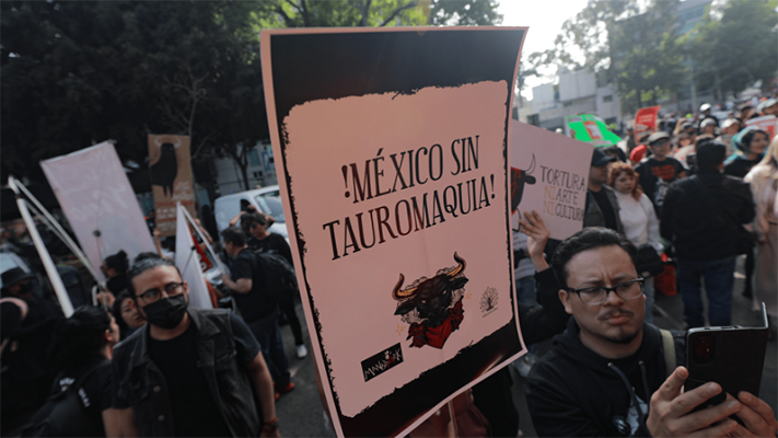 corridas de toros, medioamniente, México, noticias, tauromaquia