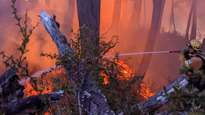 Con casi 8 mil hectáreas en llamas, en Los Alerces se espera tormenta eléctrica