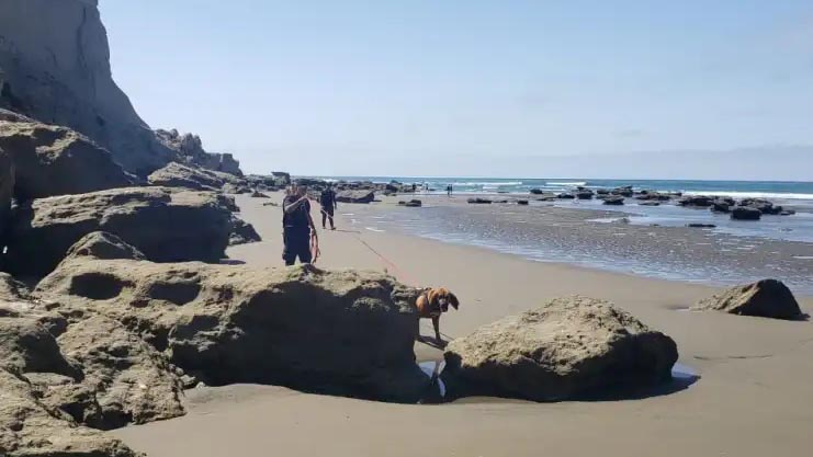 Encontraron el cuerpo de César Tobar en la playa de La Herradura