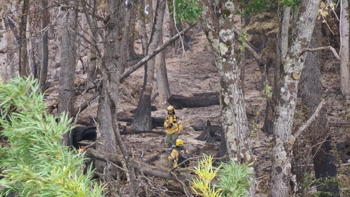 600 hectáreas de bosque nativo se incendiaron el Parque Nacional Nahuel Huapi