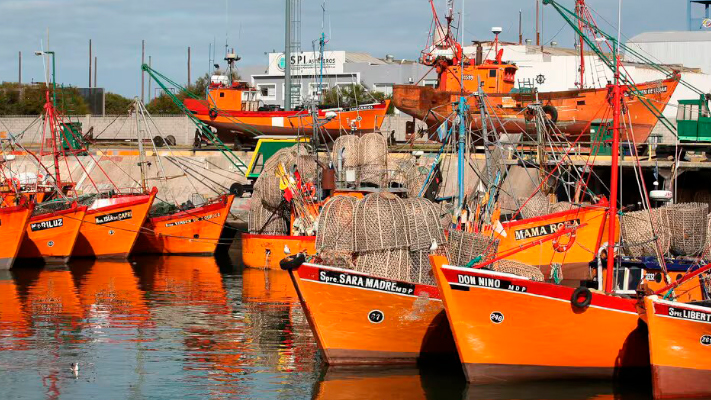 Condenaron a empresarios pesqueros a cuatro años y medio de prisión por evasión