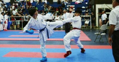 Karate, Torneo Nacional