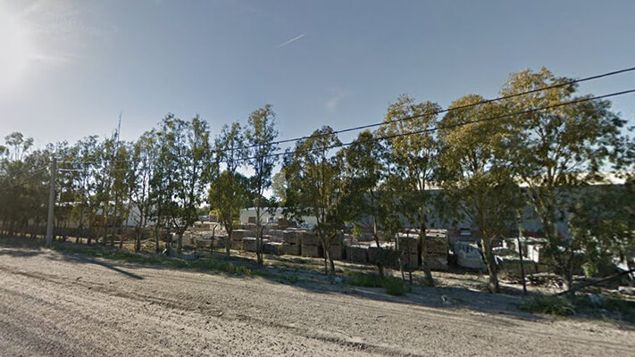 Madryn, municipio, PARQUE LIVIANO