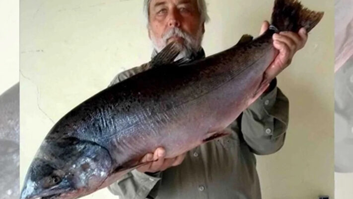 Ecología, especímenes de salmones, noticias, parana