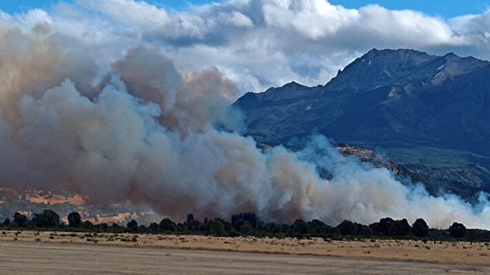 Bomberos combaten incendio en cercanías a Los Cipreses