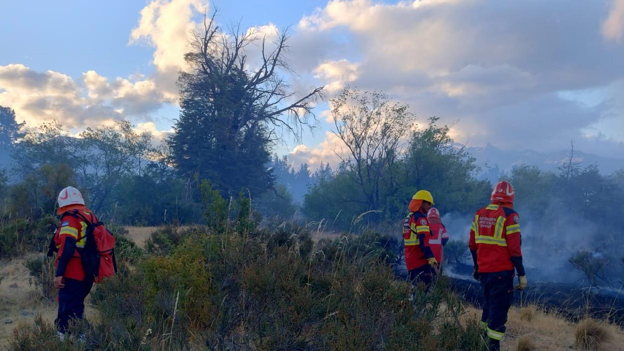 Controlaron el incendio forestal en la zona de Los Cipreses