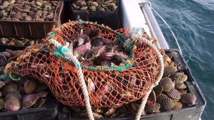 Camarones y Cabo Raso, marea roja, noticias, salud