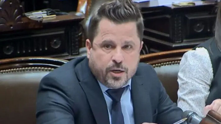 Cámara de Diputados, LEY DE BASES, MARTÍN TETAZ