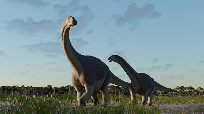 Descubren en Chubut restos de un titanosaurio que vivió hace 66 millones de años
