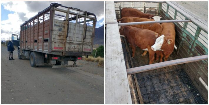 chubut, El Maitén, seguridad rural