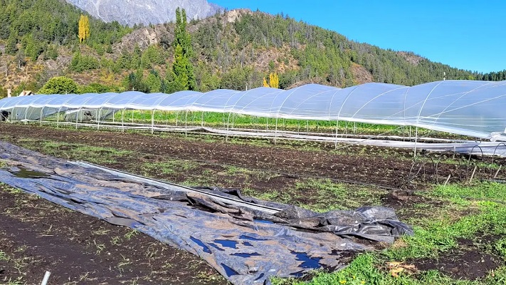 Productores agroecológicos expanden sus proyectos en El Bolsón
